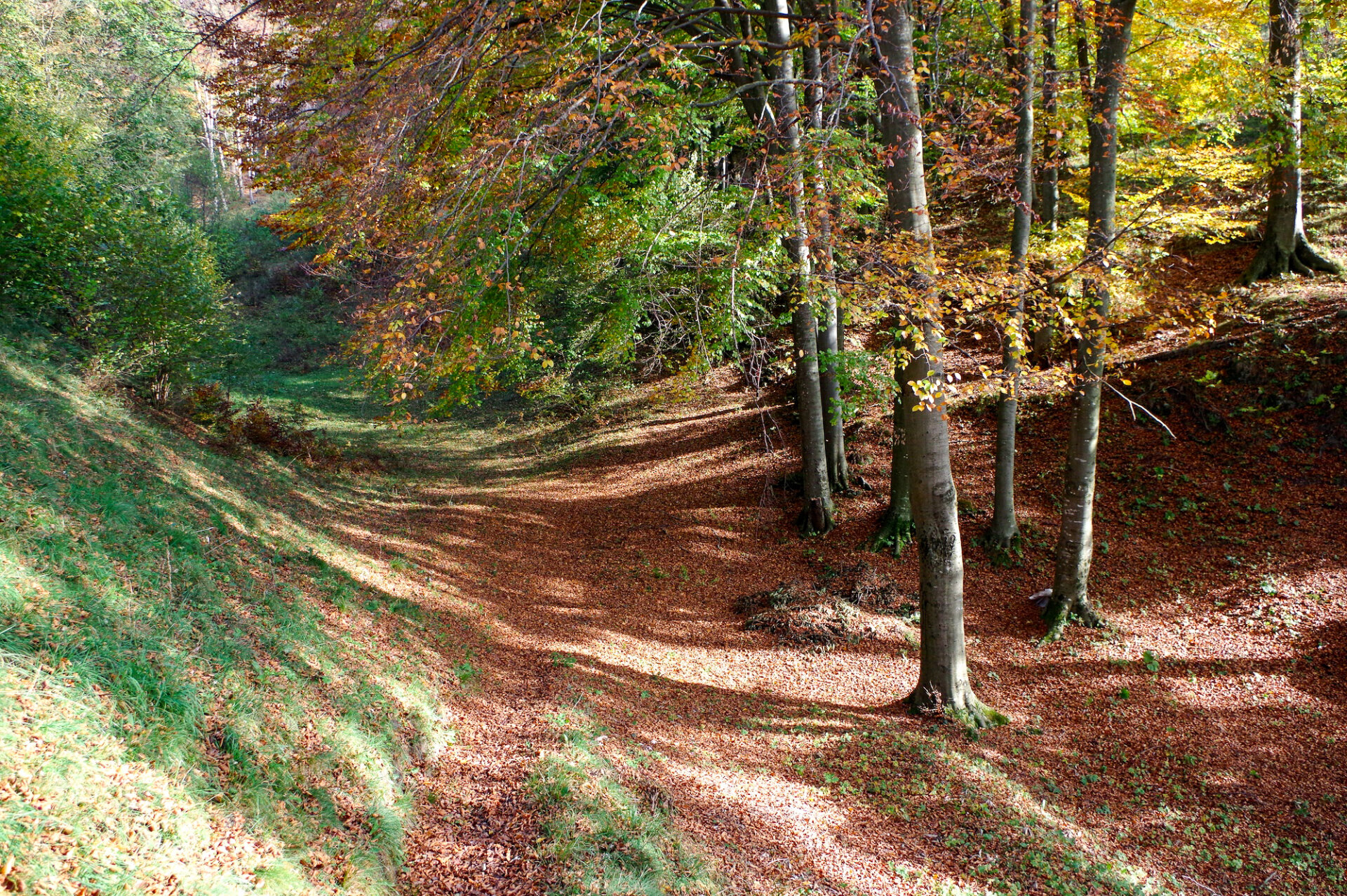 1 - Escursione monte Podona