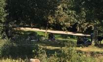 «Bivacchi, roghi, rifiuti e gente che orina»: i senzatetto nel parco tra Alzano e Villa di Serio