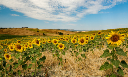 MyTuscany: la meravigliosa Toscana nei vostri scatti