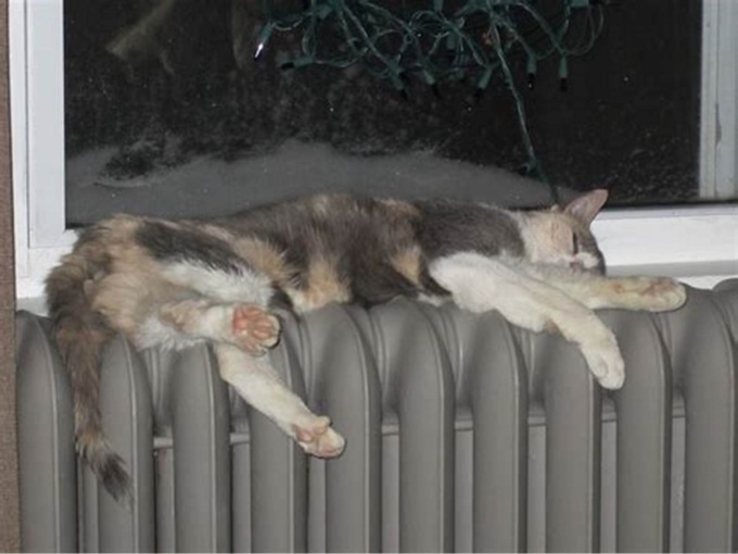 10 frasi in bergamasco sull’accensione dei caloriferi