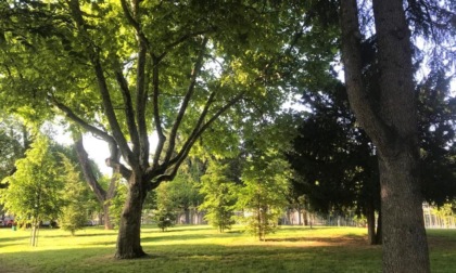 Con la "Sagra d'autunno in Malpensata" al Parco Olmi «si mangia, si beve e ci si diverte insieme»