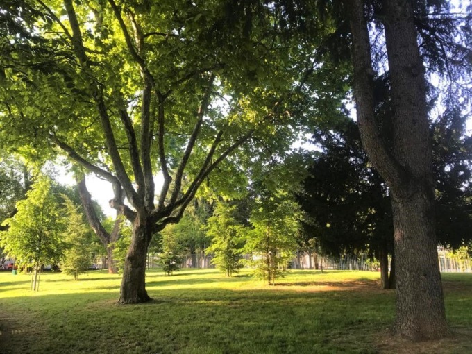 Con la “Sagra d’autunno in Malpensata” al Parco Olmi «si mangia, si beve e ci si diverte insieme»