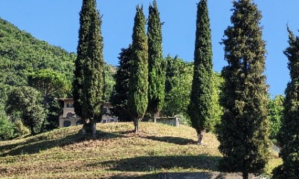 Alzano Lombardo, nuovi profumi e colori ai ronchi del Belvedì