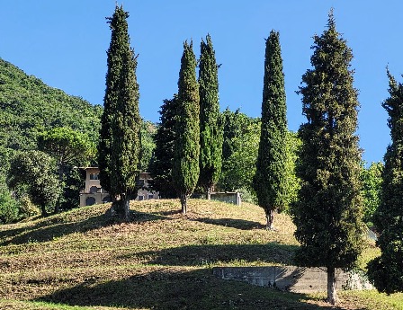 Alzano Lombardo, nuovi profumi e colori ai ronchi del Belvedì