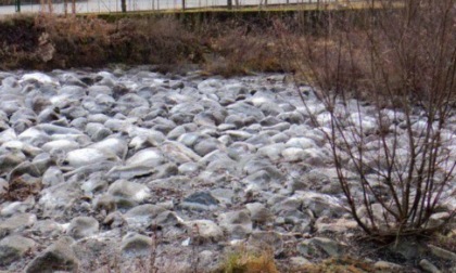 Il fiume Serio è in secca, agricoltori preoccupati. Temperature in calo da metà ottobre