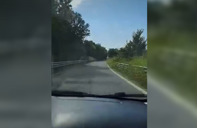 La vegetazione allo svincolo tra le vie Orio e Zanica? L’assessore Marchesi: «Sfalcio a ottobre col trattore»