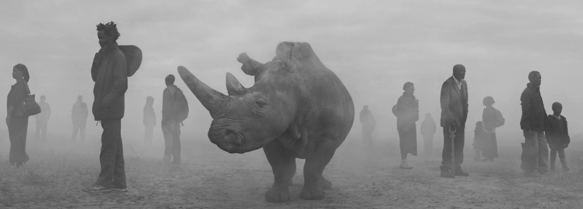 ©NICK BRANDT