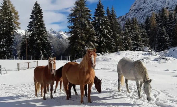 Caduta la prima neve sulle Orobie: cime spruzzate di bianco e paesaggi mozzafiato