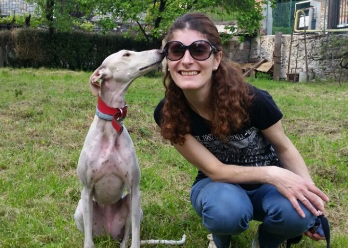 «Salviamo quei cani, sfruttati e abbandonati»: la mission di Progetto Galgo Onlus