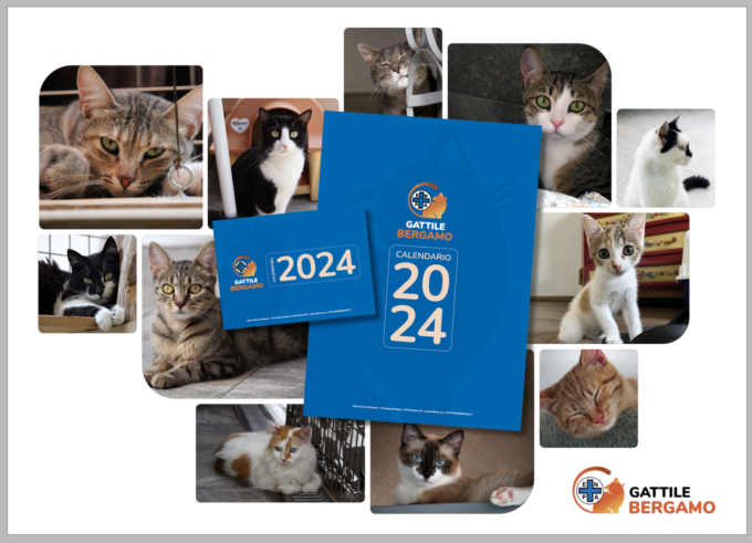 Enpa Bergamo, ecco il calendario 2024 con i mici: tutti i proventi andranno al gattile