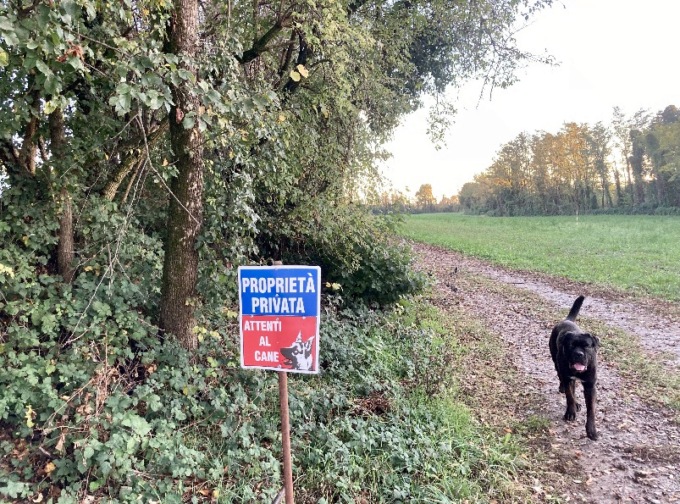Dalmine, la denuncia: «I cacciatori entrano e sparano nella nostra terra»