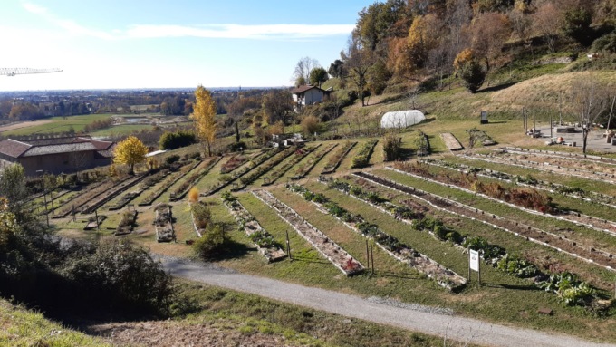 Bergamo tra i vincitori del premio “La città per il verde”, la consegna a febbraio