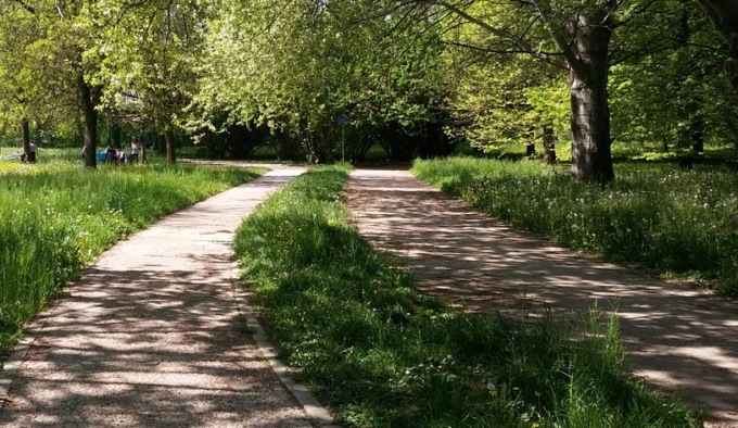 Ragazza di 14 anni violentata in un parco della Bergamasca da un suo coetaneo