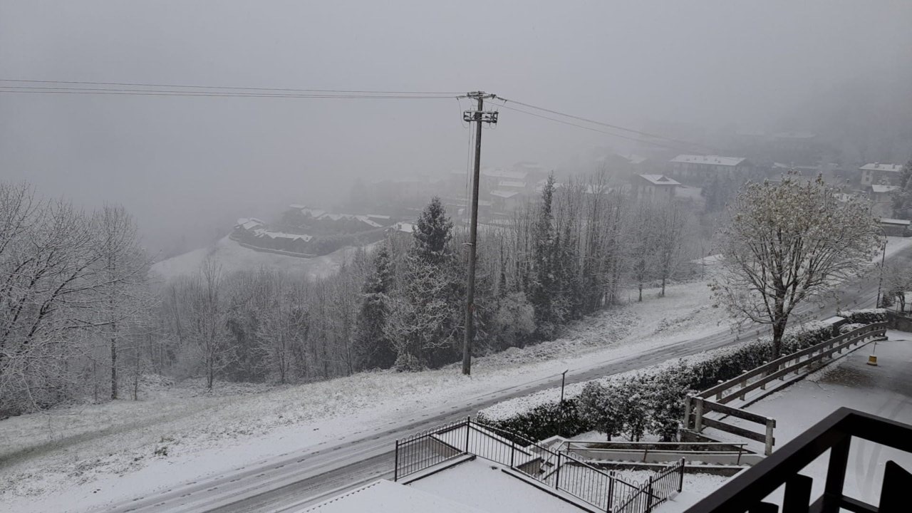 neve serina