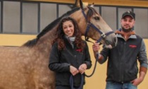Chris e Claudia di Zanica: una storia d'amore e di cavalli