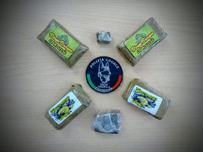 Scovato quasi un chilo di hashish tra i cespugli grazie a Loki e Tenai