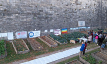 «Bandiere della pace e messaggi politici negli orti comunali sotto le mura: fateli togliere»