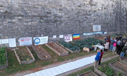 Orto sociale sotto le Mura, gli striscioni erano già stati tolti: «Un'iniziativa della Curia»