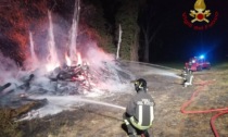 Le foto dell'incendio scoppiato la scorsa notte nel Parco dell'Oglio, a Pumenengo