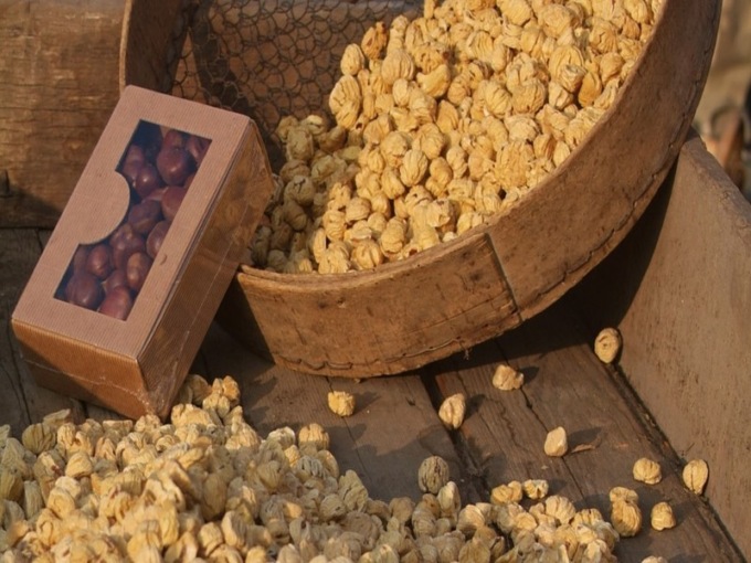 Albino, Sagra dei Biligocc a Casale: le castagne tornano in passerella