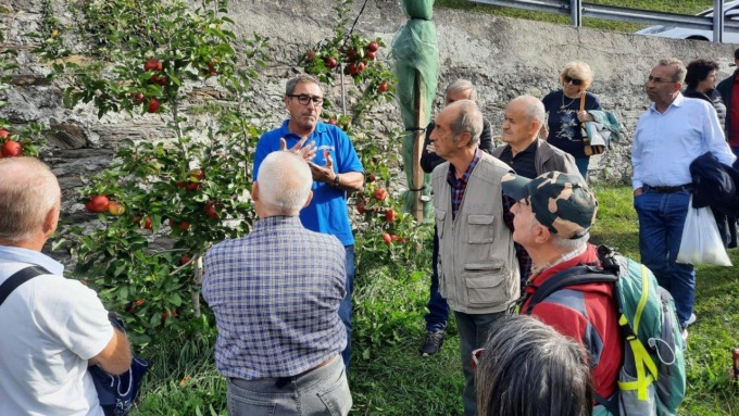 Frutticoltura, in Val Brembana acquisto di piante in forma associata