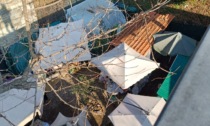 I senzatetto, disperati, hanno rubato le coperte dei gatti a Ponte San Pietro