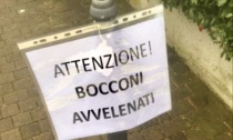 Bocconi avvelenati ad Alzano Sopra, l'avviso: state attenti al (vostro) cane
