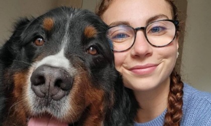 Il suo cane è troppo grosso: studentessa bergamasca non trova casa a Siena