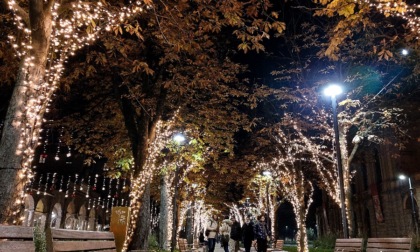 Rimosse in questi giorni le luci sul "Sentierino" del centro: hanno illuminato la Capitale della Cultura