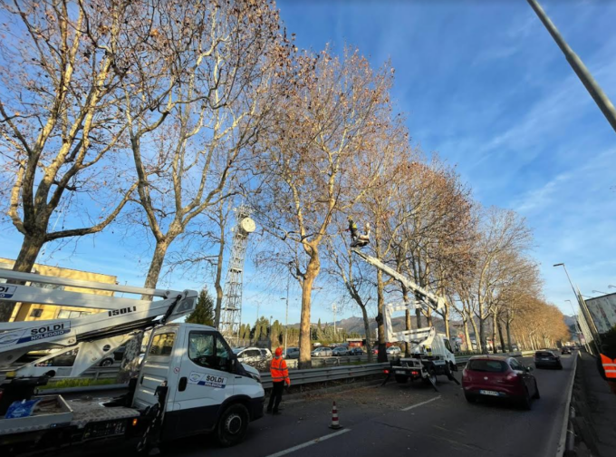 Tratto di circonvallazione a corsie ridotte per due settimane: si devono potare gli alberi