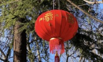 Al parco della Malpensata si festeggia il capodanno cinese, fra cortei e laboratori