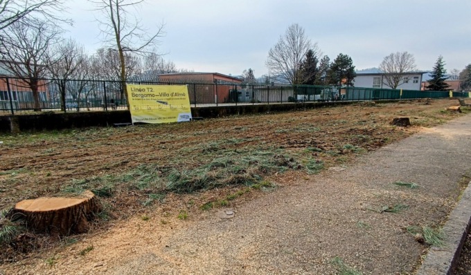 «Strage di alberi d’alto fusto» in via De Gasperi, per il tram. Teb: «Saranno rimpiazzati»