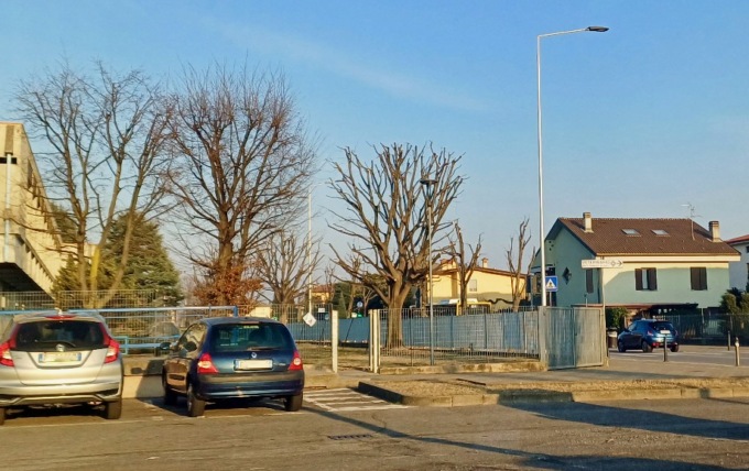 È polemica ad Azzano San Paolo: «Perché qui non abbiamo diritto a un viale alberato?»