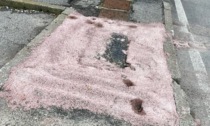 Taglia e cuci per la fibra ottica sulle strade di Seriate: «Avevano appena rifatto l'asfalto!»