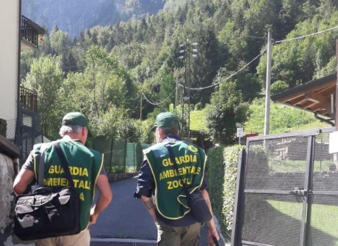 Guardie zoofile, Legambiente fa un bilancio del 2023. In Bergamasca 200 ore di lavoro e quasi 100 casi