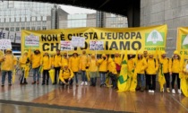 Agricoltori bergamaschi a Bruxelles: «Stop burocrazia, servono misure per reddito imprese»
