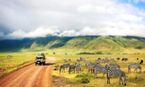 Viaggio della vita: alla scoperta delle bellezze della Tanzania in safari