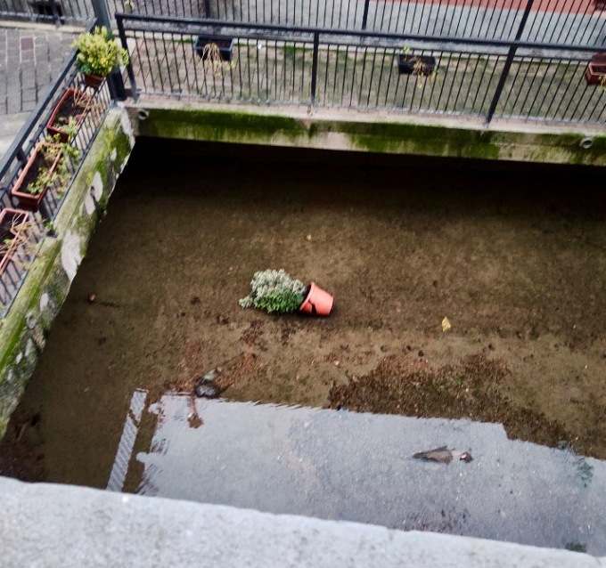 Di nuovo i vasi di gerani ad Alzano gettati nel canale. I volontari: «Ora basta, li togliamo»