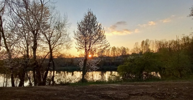 I comitati preoccupati: «Alla Roncola di Treviolo il rischio è che ci siano più ville che parco»