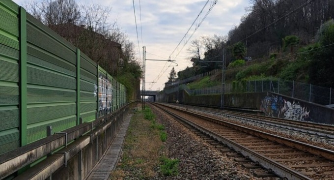 Quella pecora che ha bloccato i binari nel Lecchese: all’inseguimento pure il sindaco