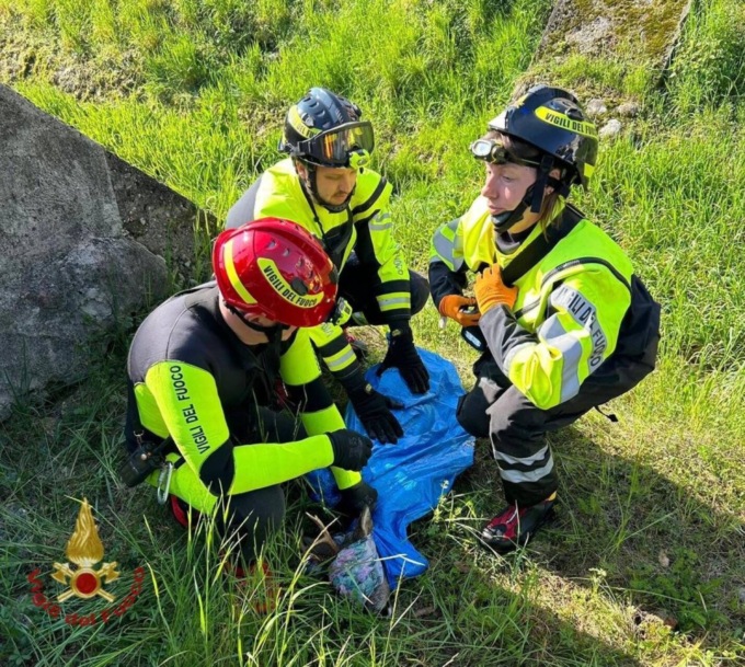 Capriolo intrappolato in un torrente a Torre Boldone: recuperato dai Vigili del fuoco