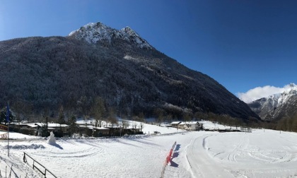 Cervo dilaniato da un lupo vicino alla pista di fondo di Valbondione