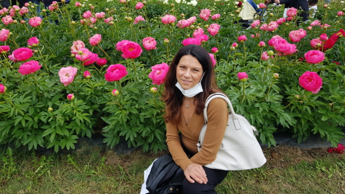 A Tulipania arriva il primo campo di peonie (che si potranno raccogliere)