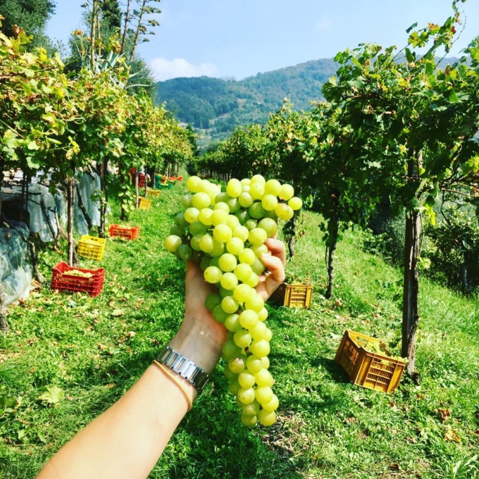 Il concorso internazionale del Vinitaly premia il Brut degli Angeli Riserva 2018 di Carobbio