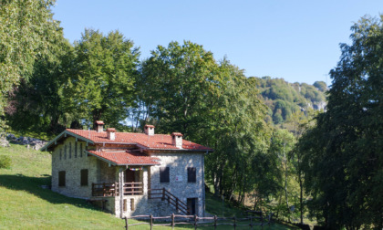 Tra i profumi e i colori della primavera salendo sulla vetta del monte Zucco, a 1.232 metri