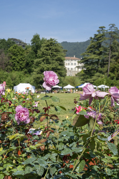 Appuntamento il 4 e 5 maggio a Ranica con “Floreka”, la mostra-mercato dedicata a fiori e piante