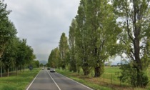 Colpito da un albero caduto a Stezzano: Ferruccio Carminati muore in moto