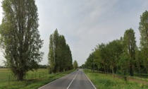 Motociclista morto per l'albero caduto tra Bergamo e Stezzano, aperto un fascicolo per omicidio colposo