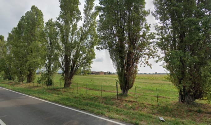 Ucciso dall’albero caduto, si sapeva da mesi che quei pioppi erano da abbattere