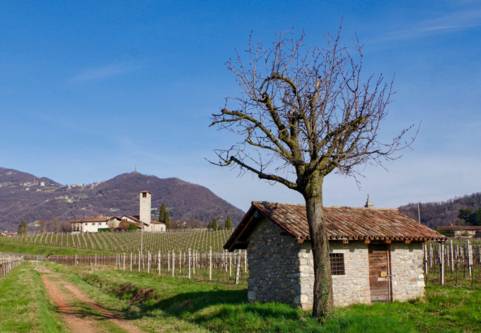 Alla scoperta del Percorso del Romanico, storia e bellezza a due passi dalla città